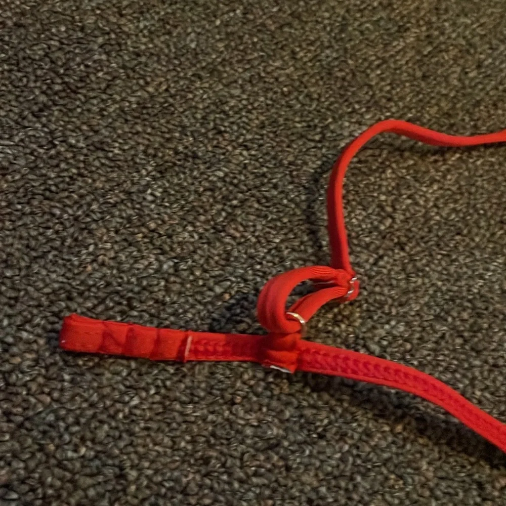 FRANKIES Bikinis Red Bikini XS